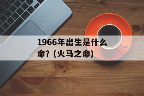 1966年出生|1966年出生现在多少岁